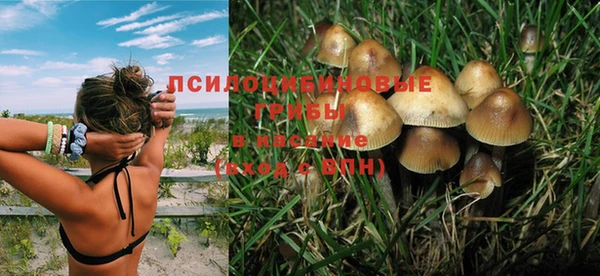 МДМА Няндома