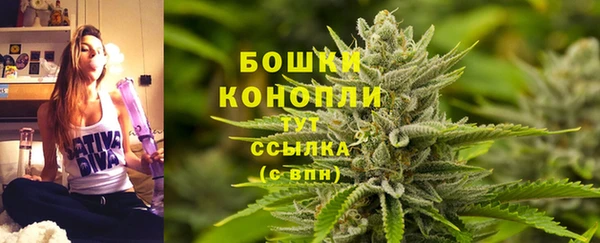 spice Нязепетровск