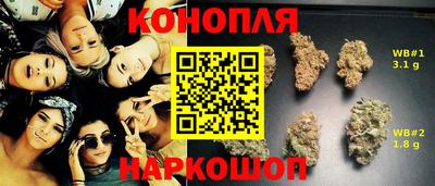 мдпв Донской
