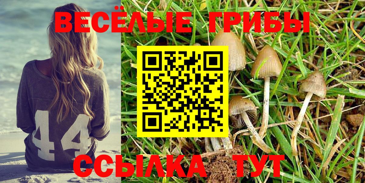 Галлюциногенные грибы MAGIC MUSHROOMS Нефтеюганск