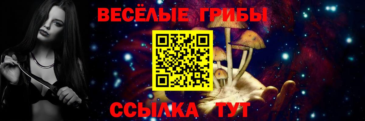 Псилоцибиновые грибы MAGIC MUSHROOMS  Вход с VPN  Нефтеюганск 