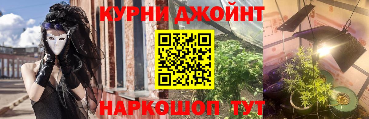 Бошки марихуана семена  Бошки марихуана White Widow  Каннабис AK-47  Шишки марихуана Ganja  Нефтеюганск  Вход с VPN 